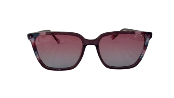 Óculos de Sol Sam & Sah - JS7007 C5